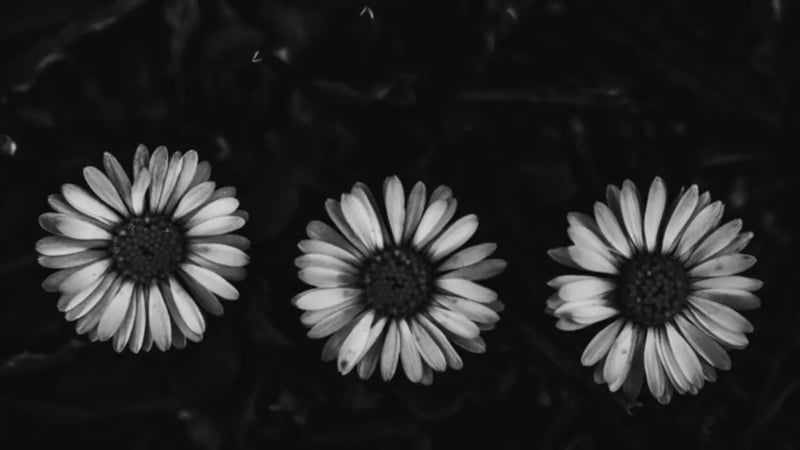 article cover photo
