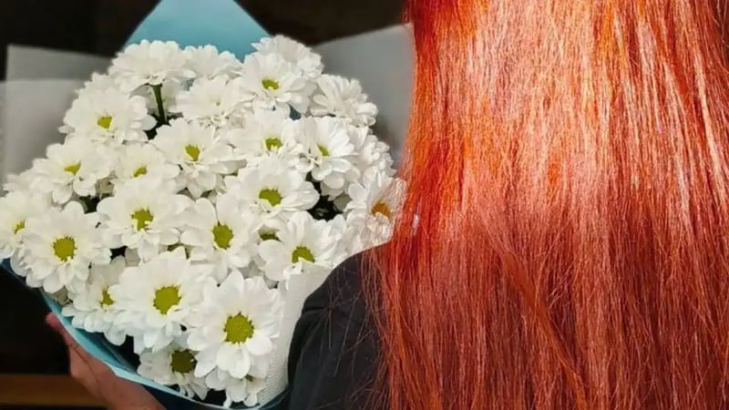 article cover photo