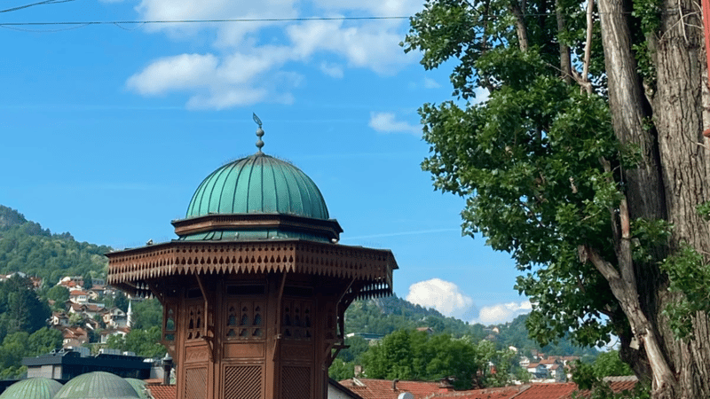article cover photo