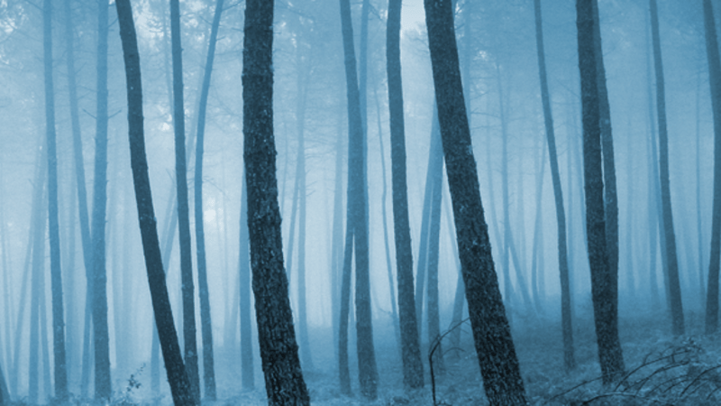 article cover photo