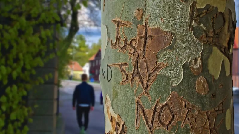 article cover photo